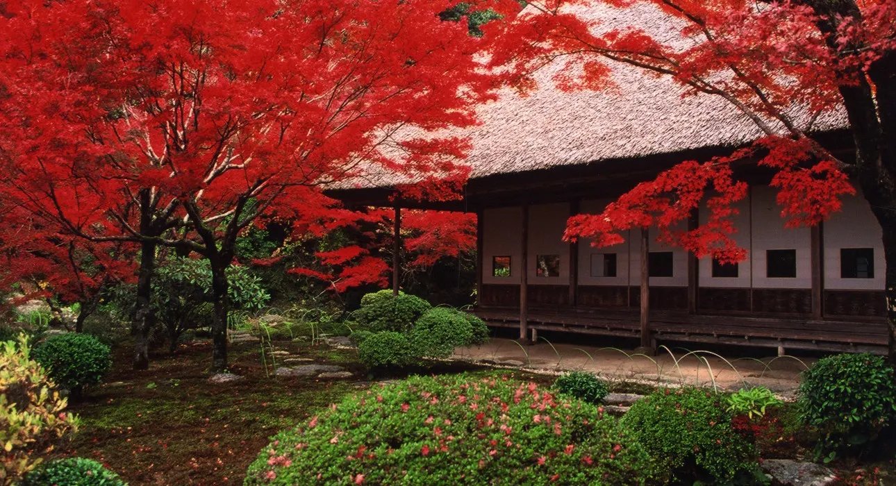 🏛️ 이토 겐보쿠 옛집 (이토 겐보쿠 큐우타쿠) 이미지 5